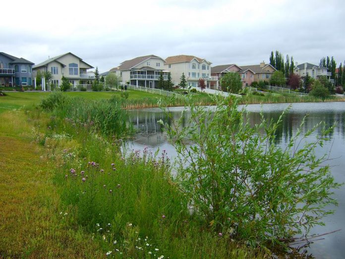 Property values are enhanced for homes backing onto suburban wetlands like these. Wetlands add natural heritage, flood prevention, and recreational value to neighbourhoods. (Photo: Rebecca Rooney)