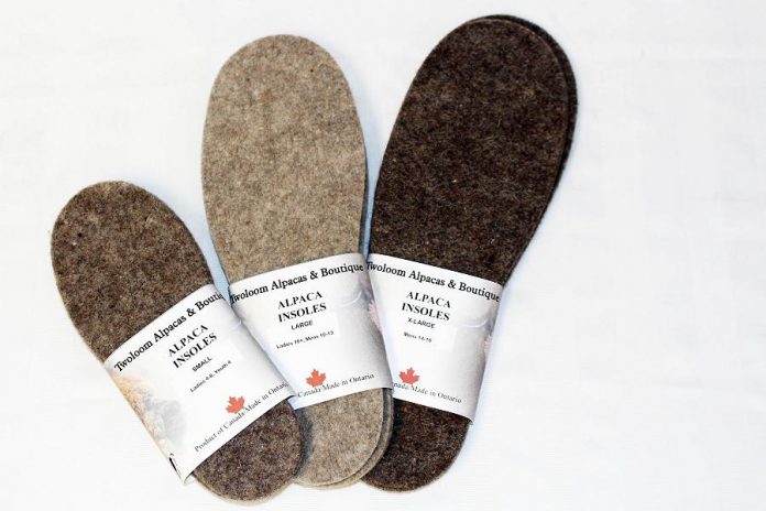 The gift that keeps on giving: when you gift Twoloom Alpaca boot insoles not only do you warm hearts and feet, but you contribute to the livelihood of a local Northumberland farming family. (Photo: GreenUP Store)