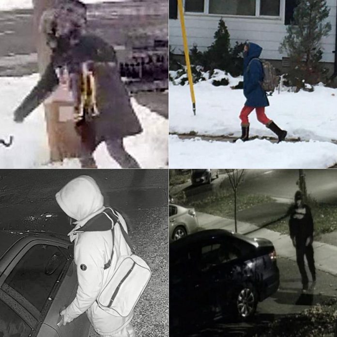 Some photos of suspected porch pirates and car hoppers posted by members of the East City Ptbo and Catch a Car Hopper Peterborough groups on Facebook. (Facebook photos)