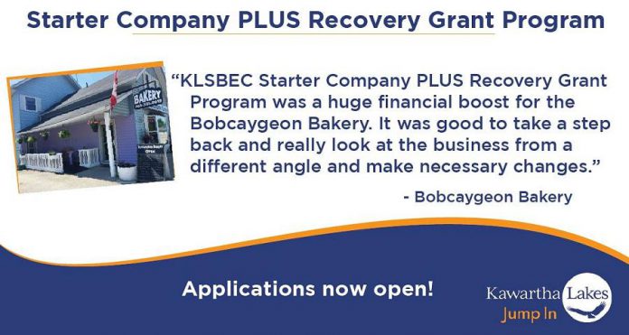  Kawartha Lakes Starter Company Plus  Small Business Recovery Grant Program