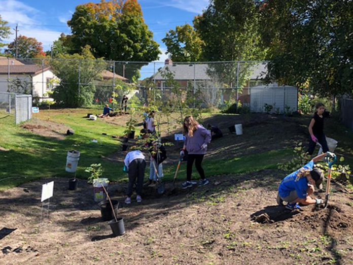 GreenUP's Wonders of Water program is centre stage in the ReFrame Film Festival short "Headwaters to Hearts: Education in Action". In this photo, students at Ste. Anne's Catholic Elementary School in Peterborough can be seen transforming a section of their school yard to support the local watershed. (Photo: Anne Corkery)