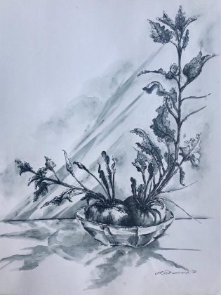 'Beauty of the Beets', an ink-on-paper work by Lesley Drummond available for purchase  through the Kawartha Lakes Arts Council's online marketplace. (Photo courtesy of Kawartha Lakes Arts Council and the artist)