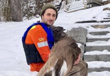 A Buckhorn man, identified only by his first name Rob, with the deer he rescued after it had fallen through the ice on Lower Buckhorn Lake on January 14, 2021. After recovering, the deer returned to the woods. (Photo: Shelley Fine / Facebook)