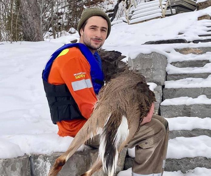 A Buckhorn man, identified only by his first name Rob, with the deer he rescued after it had fallen through the ice on Lower Buckhorn Lake on January 14, 2021. After recovering, the deer returned to the woods. (Photo: Shelley Fine / Facebook)