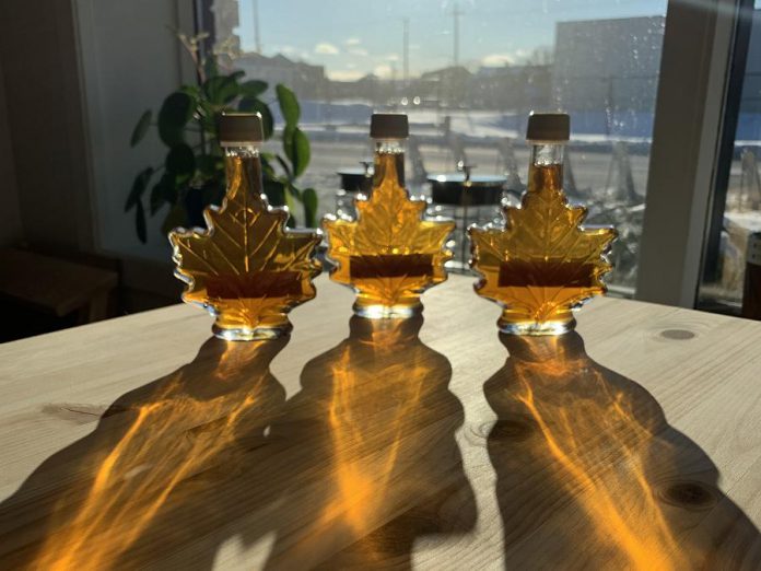 The winter sun shining through bottles of maple syrup at the GreenUP Store in Peterborough. Unless appropriate action is taken to mitigate the impacts of climate change, sugar bushes may no longer be viable in southern Ontario due to drought. (Photo: Kristen LaRocque)