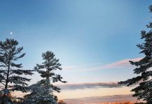 This photo by rcamp14 of fresh snow on Stoney Lake was our top post on Instagram in January 2021. (Photo: rcamp14 @rcamp14 / Instagram)