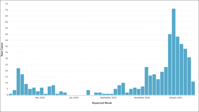 Weekly cases of COVID-19 in the Peterborough area. For the week of February 1, 11 new cases were reported. Weekly positive case numbers this low haven't been seen locally since the week of November 7, when seven new cases were reported. (Graphic: Peterborough Public Health)