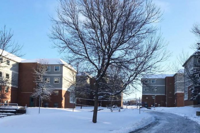 Severn Court Student Residence is located in a neighbourhood directly across from Fleming College in Peterborough. Approximately 200 students live in six separate buildings at the student housing complex. (Photo: Severn Court Management Company)