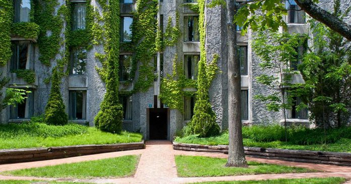 The Champlain College student residence, located on Trent University's Symons Campus in Peterborough, provides housing for more than 200 students. (Photo: Trent University)