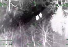The OPP Aviation and Emergency Response Team locate two hikers lost in Queen Elizabeth II Wildlands Provincial Park on March 5, 2021. (OPP video screenshot)