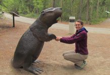 Tessa Plint, a former researcher with Western University in London, poses with a statue of the giant beaver at Yukon Beringia Interpretive Centre. The bear-sized rodent is thought to have gone extinct more than 10,000 years ago during the last ice age. (Photo: Western University)