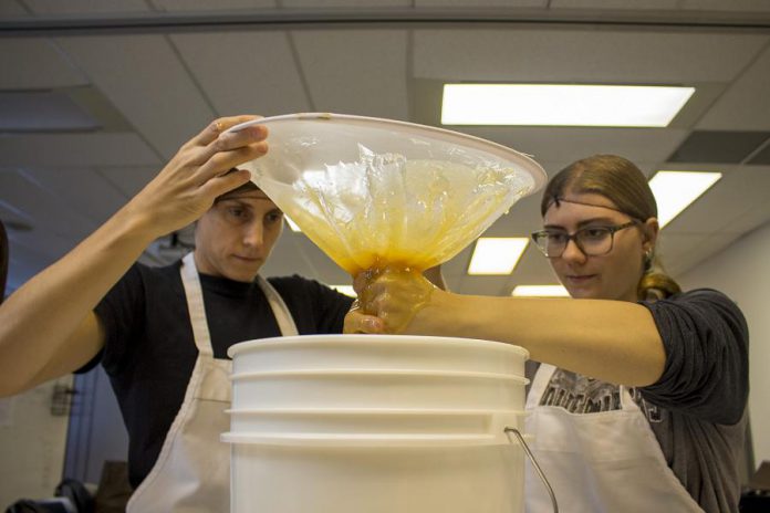 Brianna Salmon, executive director of GreenUP, helps a student filter honey in 2019 from a hive of domestic honeybees that is kept at Holy Cross Catholic Secondary School in Peterborough. Community beekeeping programs can build awareness about pollination and the responsibility of sustainably managing domesticated livestock in ways that minimize adverse impacts on native wildlife and ecosystems. (Photo: Leif Einarson)