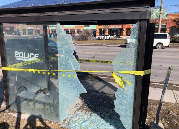 A vandalized bus shelter in Lindsay. (Police-supplied photo)