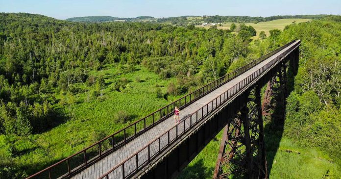 Carlotta James, co-founder and project director of the Monarch Ultra Relay Run, running across the Doube's Trestle Bridge on the Trans Canada Trail east of Omemee, part of the 1,800-kilometre route of the Monarch Ultra Relay Run taking place in September 2021 to raise awareness of plight of monarch butterfly and funds for Camp Kawartha's environmental programs for youth. (Photo: Rodney Fuentes)