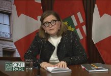 Dr. Barbara Yaffe, Ontario's associate chief medical officer of health, provided an update on the current status of the COVID-19 pandemic in Ontario during a media briefing on April 15, 2021. (CPAC screenshot)