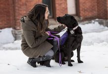 Peterborough Police Service victim services coordinator Alice Czitrom with facility dog Pixie. (Photo: Peterborough Police Service)