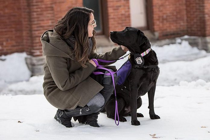 Peterborough Police Service victim services coordinator Alice Czitrom with facility dog Pixie. (Photo: Peterborough Police Service)