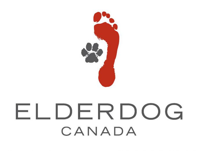 ElderDog Canada has local chapters ("Pawds") across Canada. In Ontario, there are Pawds in Ottawa, Kingston, Toronto, Halton, Collingwood, and Guelph. Local resident Catherine Ducharme is working to establish a Pawd in Peterborough by summer 2021. (Graphic: ElderDog Canada)