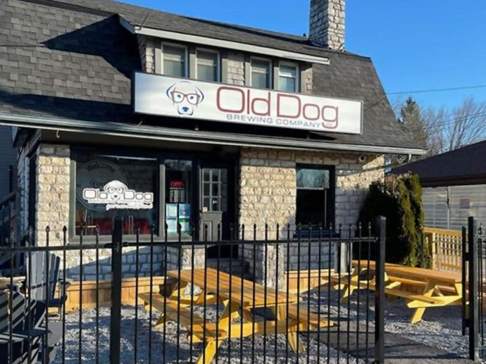 After four years of preparations, Old Dog Brewing Company in Bobcaygeon opened the doors to their taproom and brewery on March 27th. (Photo: Old Dog Brewing Company)