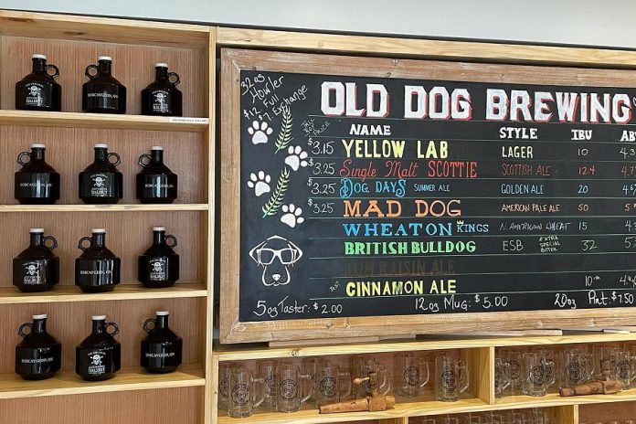 New test flavours are available to try at Old Dog Brewing Company's brewery and taproom. (Photo: Old Dog Brewing Company)