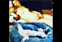 Peterborough author and online bookstore owner Michelle Berry's pandemic puppy Maybe has been putting his posing skills to good use by mimicking famous paintings, such as "The Venus of Urbino" by Venetian artist Titian. (Photo courtesy of Michelle Berry)