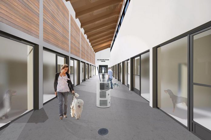 A rendering of the dog kennels at the Peterborough Humane Society's new animal care centre. In recognition of Stonehouse's donation, the dog adoption program at the new centre will be named the Glenn Allan Stonehouse Dog Adoption Program.  (Supplied photo)