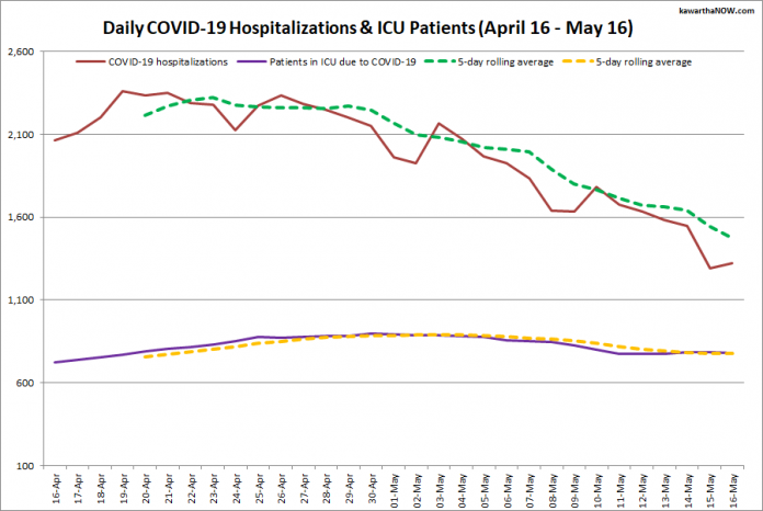 COVID-19 hospitalizations and ICU admissions in Ontario from April 16 - May 16, 2021. The red line is the daily number of COVID-19 hospitalizations, the dotted green line is a five-day rolling average of hospitalizations, the purple line is the daily number of patients with COVID-19 in ICUs, and the dotted orange line is a five-day rolling average of patients with COVID-19 in ICUs. (Graphic: kawarthaNOW.com)