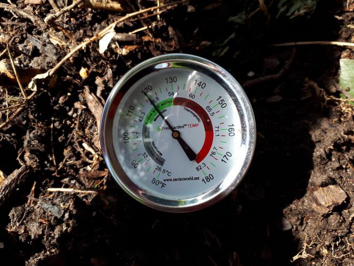 A compost pile with an internal temperature between 44 and 65 degrees Celsius tells you aerobic microorganisms are hard at work. (Photo: Hayley Goodchild)