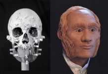 A facial reconstruction of what Warrant Officer John Gregory may have looked like, based on a DNA sample collected from a direct living descendant. A team of researchers at Trent University, University of Waterloo, and Lakehead University compared the descendant's DNA to DNA collected from tooth and bone samples that are more than 170 years old to confirm the remains are those of John Gregory, an engineer aboard HMS Erebus. (Photo: Diana Trepkov / University of Waterloo)