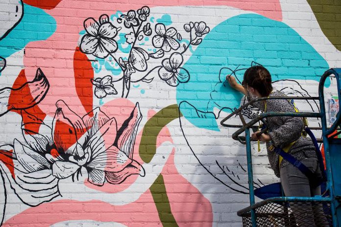 In 2017, Prince Edward County artist Chrissy Poitras was commissioned to paint her "Floral Abstraction" mural on the south wall of the building at 378 Aylmer Street in Peterborough. For summer 2021, the City of Peterborough's public art program is seeking artists to install temporary road murals at four sites along Hunter Street West in downtown Peterborough. (Photo courtesy of the Peterborough DBIA)