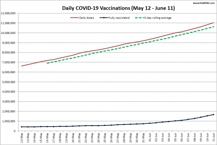 COVID-19 vaccinations in Ontario from May 12 - June 11, 2021. The red line is the cumulative number of daily doses administered, the dotted green line is a five-day rolling average of daily doses, and the blue line is the cumulative number of people fully vaccinated with two doses of vaccine. (Graphic: kawarthaNOW.com)