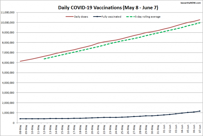 COVID-19 vaccinations in Ontario from May 8 - June 7, 2021. The red line is the cumulative number of daily doses administered, the dotted green line is a five-day rolling average of daily doses, and the blue line is the cumulative number of people fully vaccinated with two doses of vaccine. (Graphic: kawarthaNOW.com)