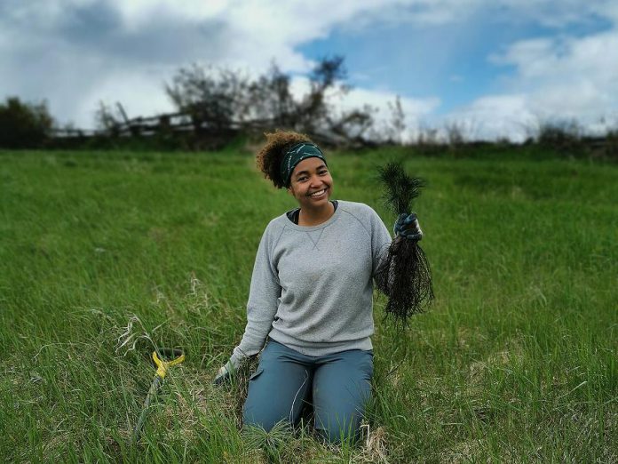 Patricia Wilson, founder of the Diverse Nature Collective, plants white pine seedlings at John Earle Chase Memorial Park, a property protected by the Kawartha Land Trust. (Photo courtesy of Patricia Wilson)