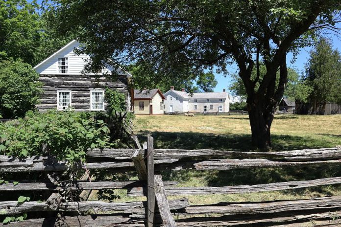 Some of the historic buildings at Lang Pioneer Village Museum in Keene (from left to right): Fitzpatrick House, Register Print Shop, Keene Hotel, and South Lake School House. (Photo: Karis Regamey)