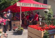 During the launch of the new Leahy's Farm & Market in Apsley on June 4, 2021, North Kawartha Mayor Carolyn Amyotte (far left) thanked Peterborough-Kawartha MPP Dave Smith (second from left) for the delivery of 3,000 pounds of food and $1,250 in cash donations and gift cards for the North Kawartha Food Bank, raised earlier in the day at Morello's Your Independent Grocer in Peterborough. Leahy's Farm & Market is a partnership between the Leahy family, Ball Real Estate, and Calm N Ground. (Screenshot of Facebook video by Ball Real Estate)
