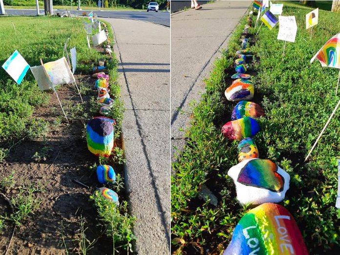 Some of the painted rocks, signs, and flags along the sidewalks at the entrance to the headquarters of the Peterborough Victoria Northumberland and Clarington Catholic District School Board at 1355 Lansdowne Street West in Peterborough. (Photo courtesy of Kimberly Liane)