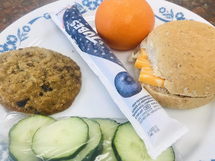 A sample of the type of healthy lunch that will be available for any elementary-school aged child in the Kawartha Lakes between June 16 and August 20, 2021. (Photo courtesy of Kawartha Lakes Food Source)
