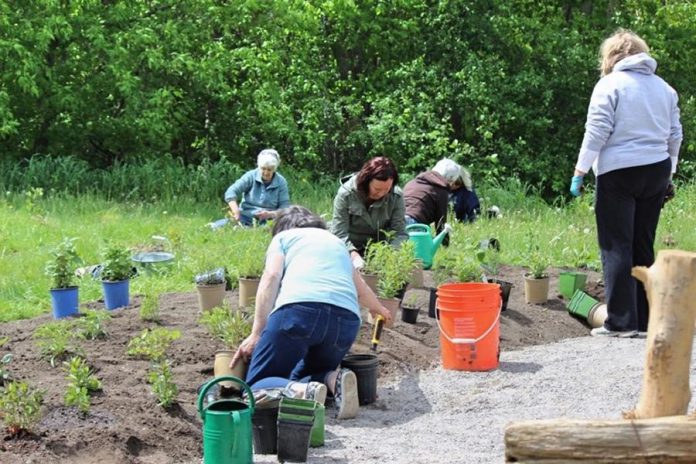 While the pollinator garden project was funded through a grant from the federal government's New Horizons for Seniors Program, it wouldn't have been possible without the efforts of many volunteers from the Reaboro community. (Photo: Elayne Windsor)