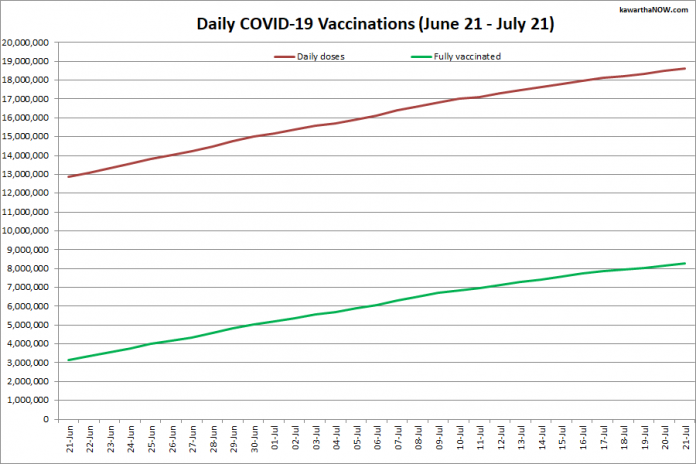 COVID-19 vaccinations in Ontario from June 21 - July 21, 2021. The red line is the cumulative number of daily doses administered and the green line is the cumulative number of people fully vaccinated with two doses of vaccine. (Graphic: kawarthaNOW.com)