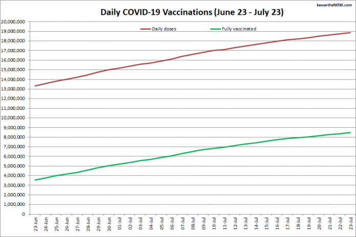 COVID-19 vaccinations in Ontario from June 23 - July 23, 2021. The red line is the cumulative number of daily doses administered and the green line is the cumulative number of people fully vaccinated with two doses of vaccine. (Graphic: kawarthaNOW.com)