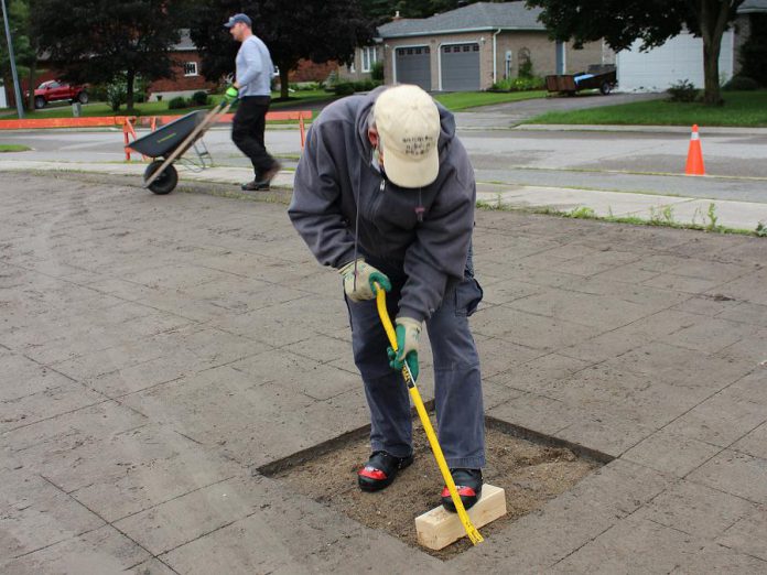 Volunteer Bill Stewart begins removing asphalt during the Depave Paradise project in Lakefield. Stewart's family once owned the farm that preceded the construction of Winfield Shores on this site. (Photo: Genevieve Ramage)