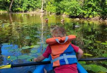 Liftlock Paddle Co. in Peterborough offers kayak, stand-up paddleboard, and canoe rentals for the entire family. Owner Taryn Grieder says double kayaks are perfect for parents with small children. She often takes her three-year-old son Zack with her to search for wildlife like these ducks at Beavermead Park. (Photo courtesy of Liftlock Paddle Co.)