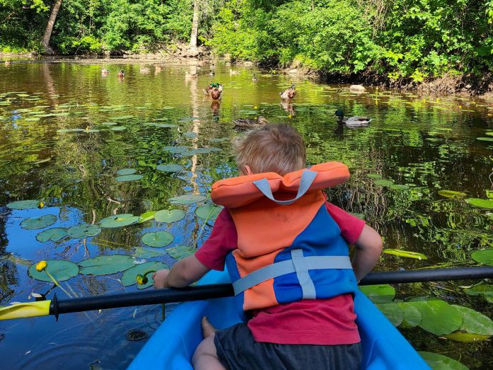 Liftlock Paddle Co. in Peterborough offers kayak, stand-up paddleboard, and canoe rentals for the entire family. Owner Taryn Grieder says double kayaks are perfect for parents with small children. She often takes her three-year-old son Zack with her to search for wildlife like these ducks at Beavermead Park. (Photo courtesy of Liftlock Paddle Co.)