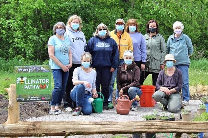 Volunteers gather for planting day in May 2021 at the pollinator garden at Reaboro Park in Reaboro, between Omemee and Lindsay in the City of Kawartha Lakes. Organizer Marnie Callaghan says the project, which garnered its volunteers through word-of-mouth and Facebook, has been a fantastic community-builder while also helping the environment. (Photo: Elayne Windsor)