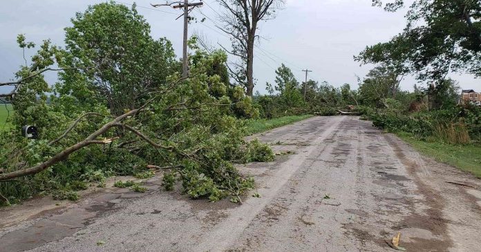 When police and emergency crews were called to the farm house, downed tress made the road impassable for emergency vehicles until they were cleared. (OPP-supplied photo)