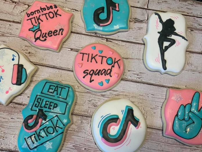 Holly Bohnsack's April and August business makes custom-order cookies, like this TikTok series she created for a customer. Holly bakes and decorates each cookie herself, by hand. (Photo courtesy of Holly Bohnsack)