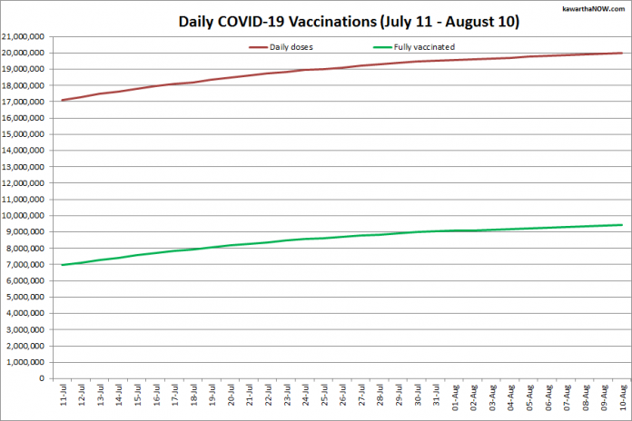 COVID-19 vaccinations in Ontario from July 11 - August 10, 2021. The red line is the cumulative number of daily doses administered and the green line is the cumulative number of people fully vaccinated with two doses of vaccine. (Graphic: kawarthaNOW.com)