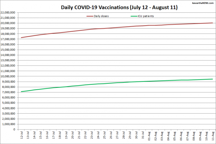 COVID-19 vaccinations in Ontario from July 12 - August 11, 2021. The red line is the cumulative number of daily doses administered and the green line is the cumulative number of people fully vaccinated with two doses of vaccine. (Graphic: kawarthaNOW.com)