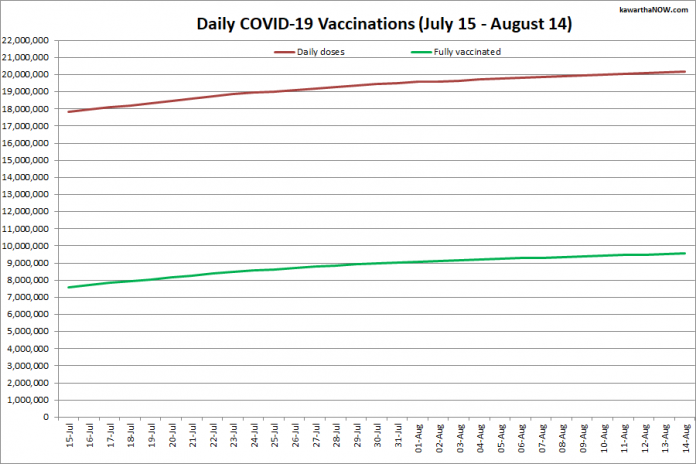 COVID-19 vaccinations in Ontario from July 15 - August 14, 2021. The red line is the cumulative number of daily doses administered and the green line is the cumulative number of people fully vaccinated with two doses of vaccine. (Graphic: kawarthaNOW.com)