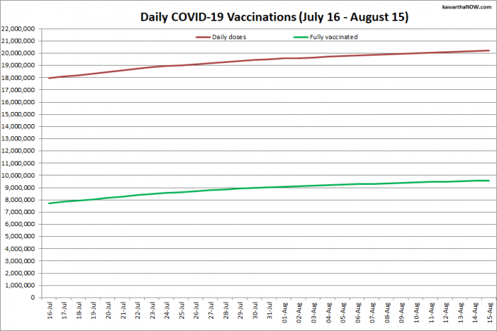 COVID-19 vaccinations in Ontario from July 16 - August 15, 2021. The red line is the cumulative number of daily doses administered and the green line is the cumulative number of people fully vaccinated with two doses of vaccine. (Graphic: kawarthaNOW.com)